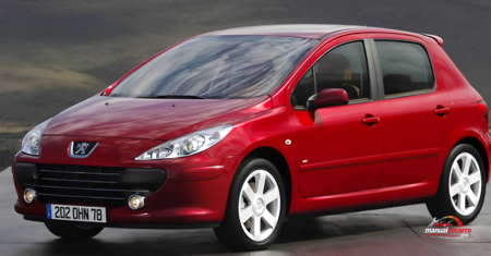 Peugeot 307 com defeito antipoluição: Causas, soluções e o que fazer